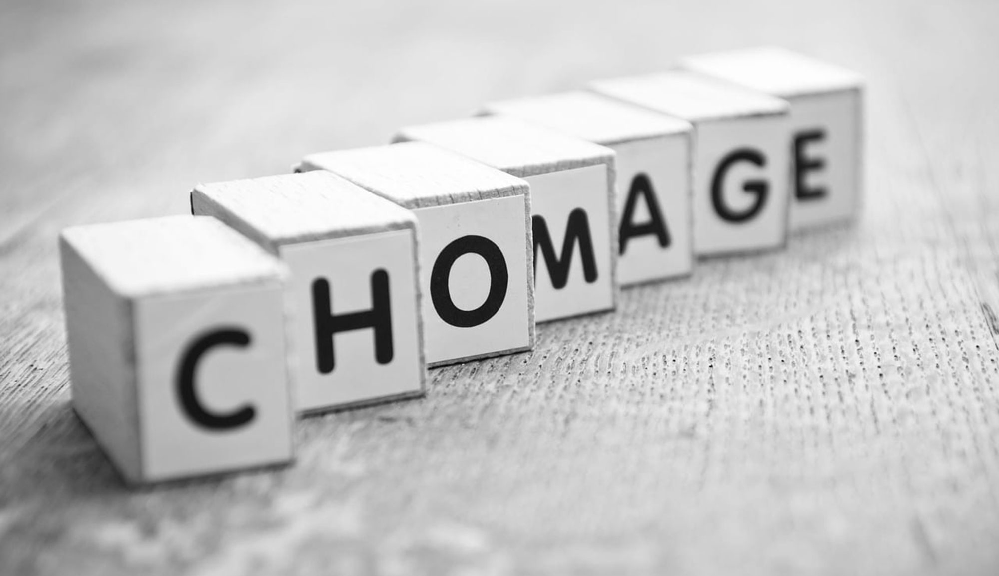 Les diplômés au chômage de longue durée revendiquent leur recrutement dans la fonction publique et le secteur public en 2026