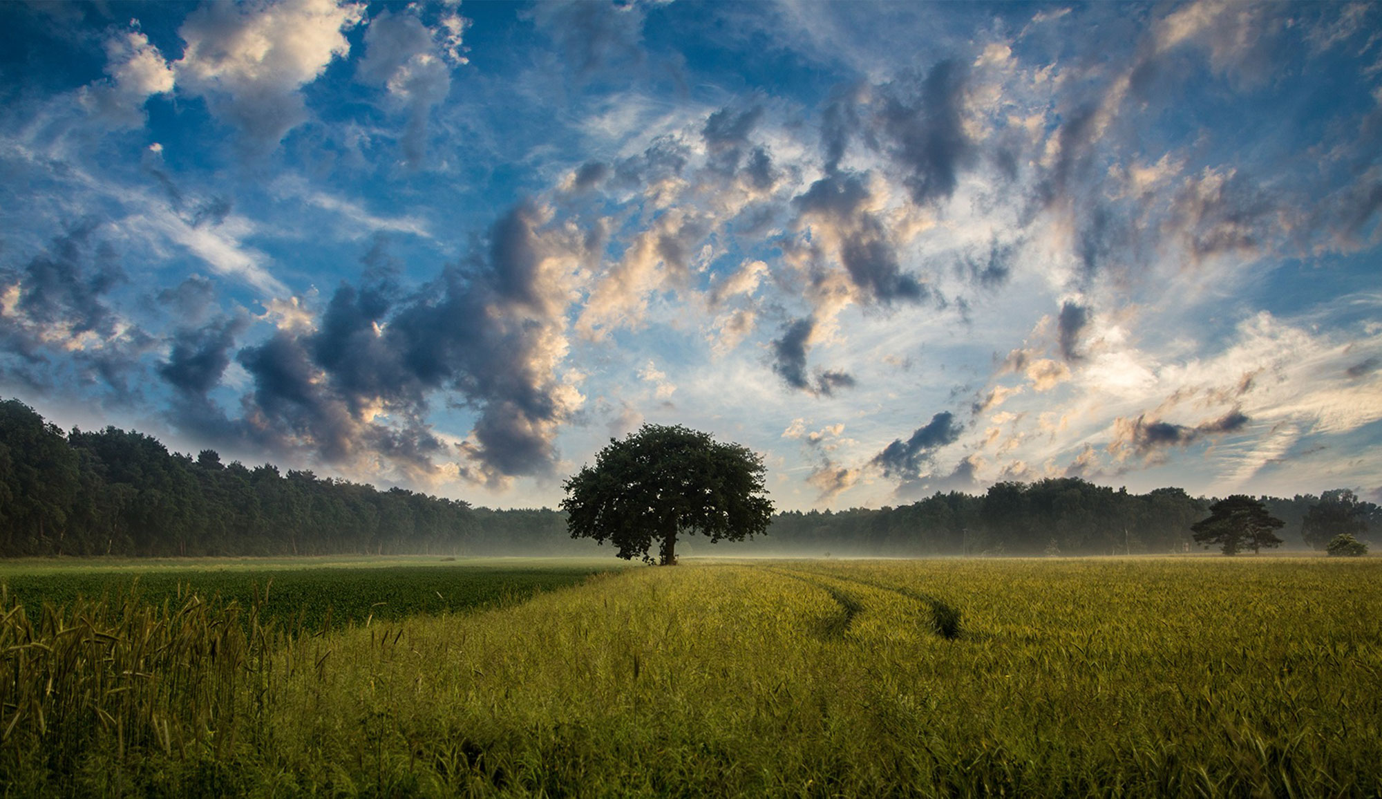 Météo : ciel nuageux et pluies éparses attendus aujourd’hui