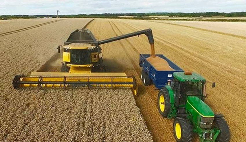 Céréales : 96% de la récolte destinée à la consommation stockée