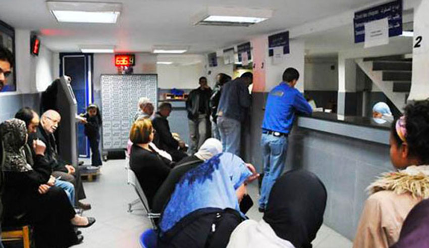 Vie en Société : La discipline, mère du succès