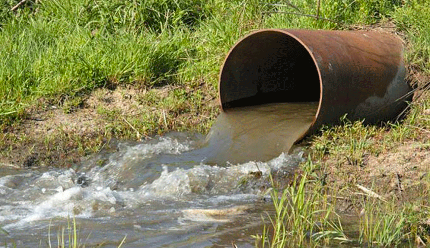 Bizerte : à Utique, des agriculteurs irriguent leurs exploitations avec des eaux usées non traitées