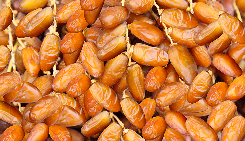 Une tente sur l’avenue Habib Bourguiba pour la vente de...