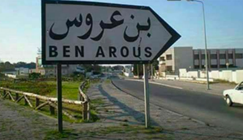 Ben Arous : opération d&rsquo;épandage aérien d&rsquo;insecticides