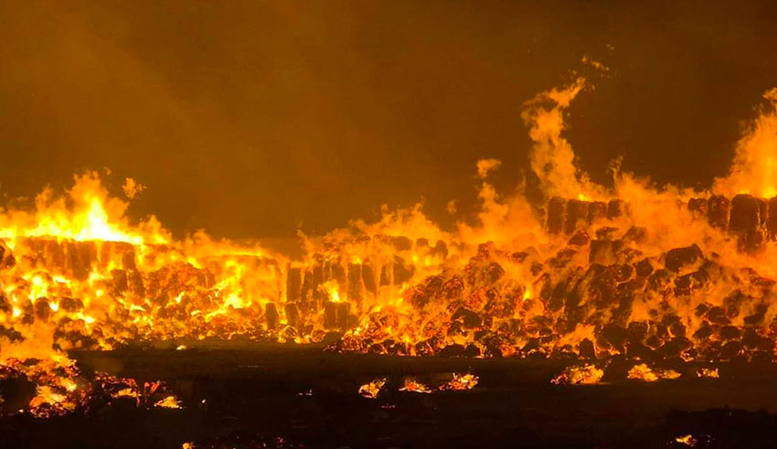 Tunisie : Un incendie ravage 4000 m² dans une usine de bois à Sfax, les pompiers évitent le pire