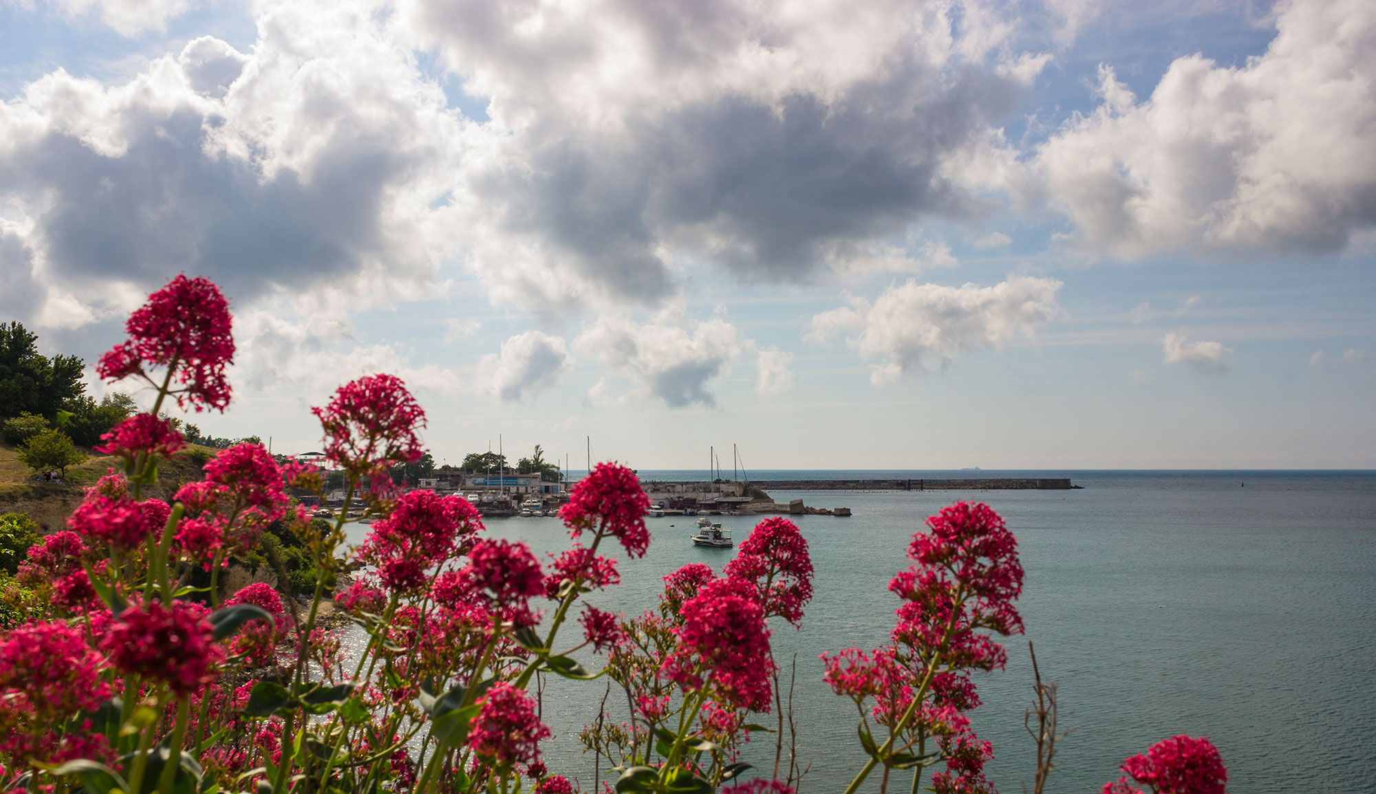 Météo : Ciel nuageux et vent fort à l&rsquo;approche des côtes cet après-midi
