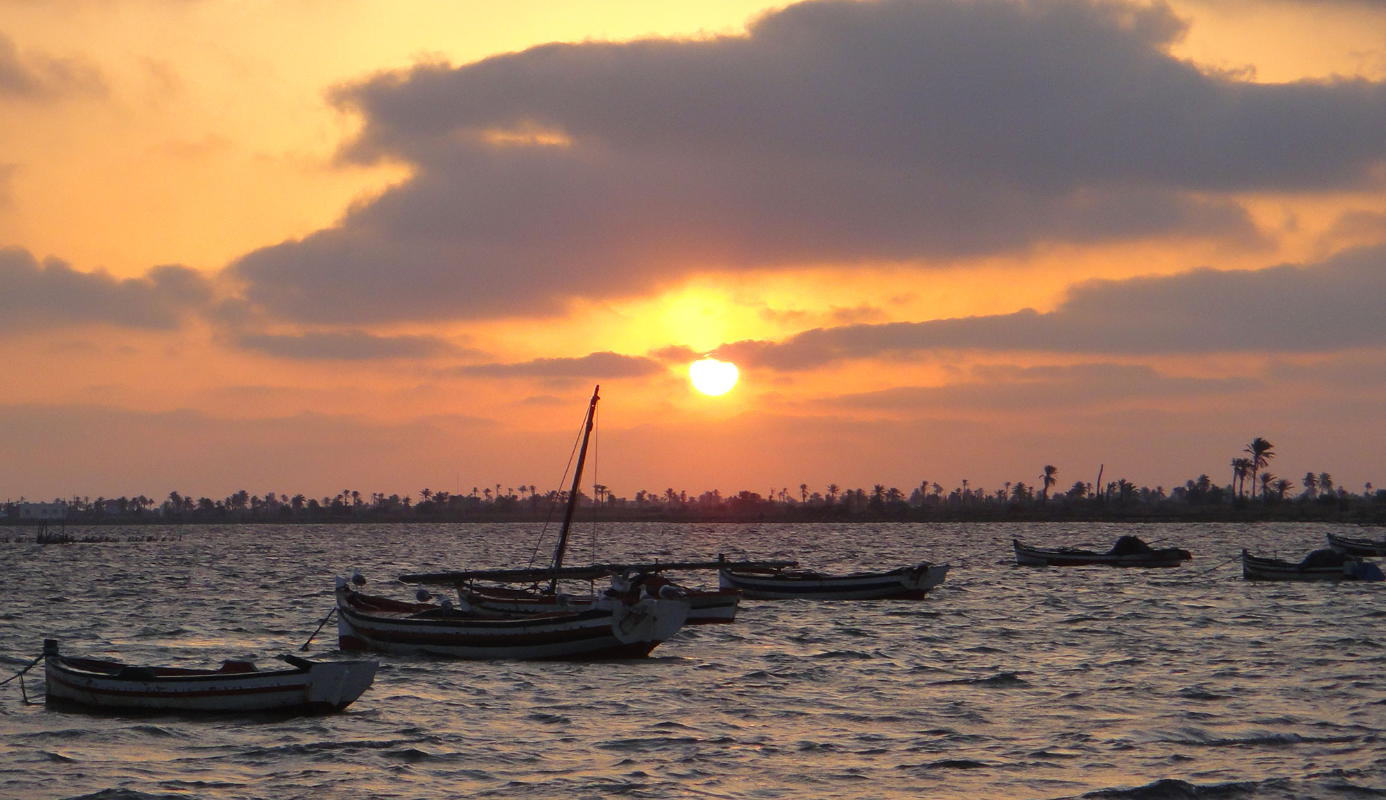 ONU-Habitat : 33 projets pour protéger l’archipel de Kerkennah