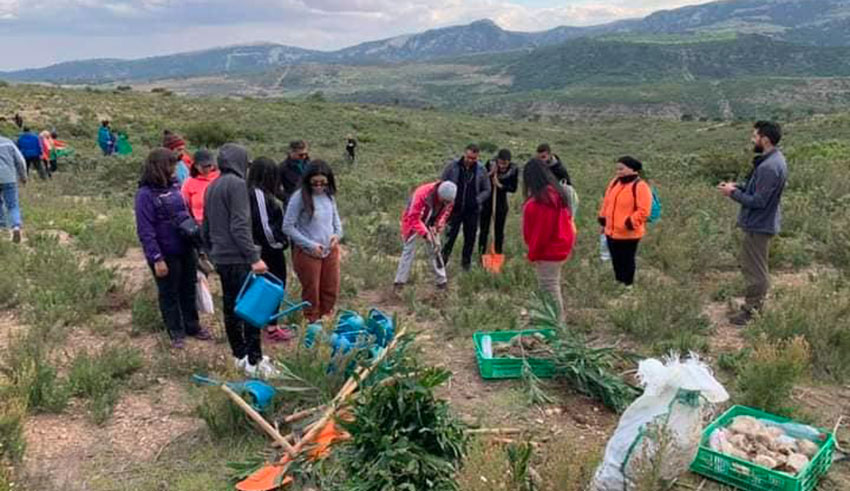 Reboisement des forêts incendiées à Siliana : Plus de 3.340 arbres plantés à Kesra