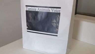 Changement de la loi animale en Tunisie: Ça commence à décoller à l’ARP…