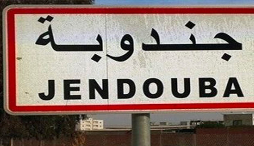 Jendouba : vandalisme sur un réseau d’irrigation dans la zone...