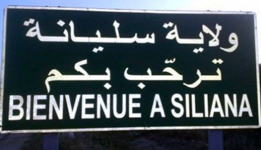 Siliana : les professionnels appellent à accélérer d’urgence la distribution...