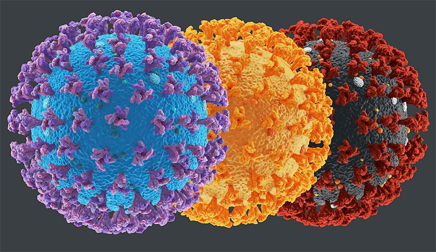 Première étude sur l’Omicron: Le risque de réinfection trois fois supérieur  par rapport aux variants Beta et Delta