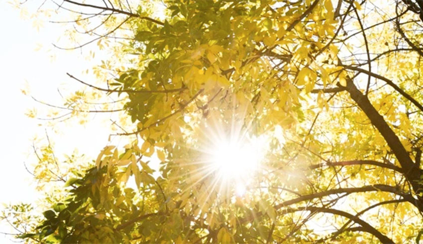 Météo : Le soleil domine ce mercredi !