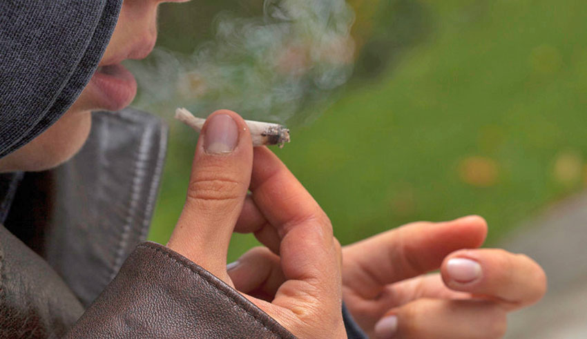 Tunisie : Explosion de la consommation de cannabis chez les adolescents