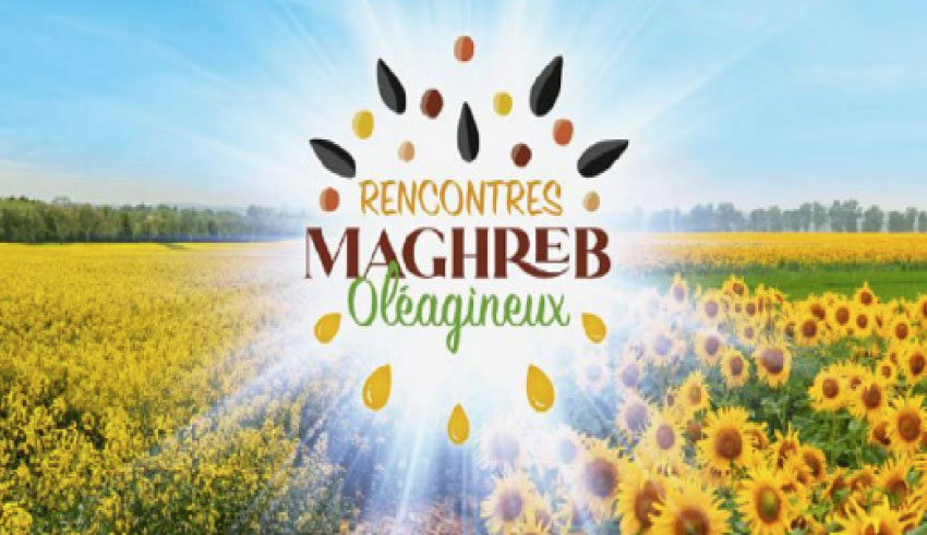 « Les Rencontres Maghreb oléagineux » du 16 au 18 mai: « Pour une souveraineté alimentaire en huiles et protéines végétales » 