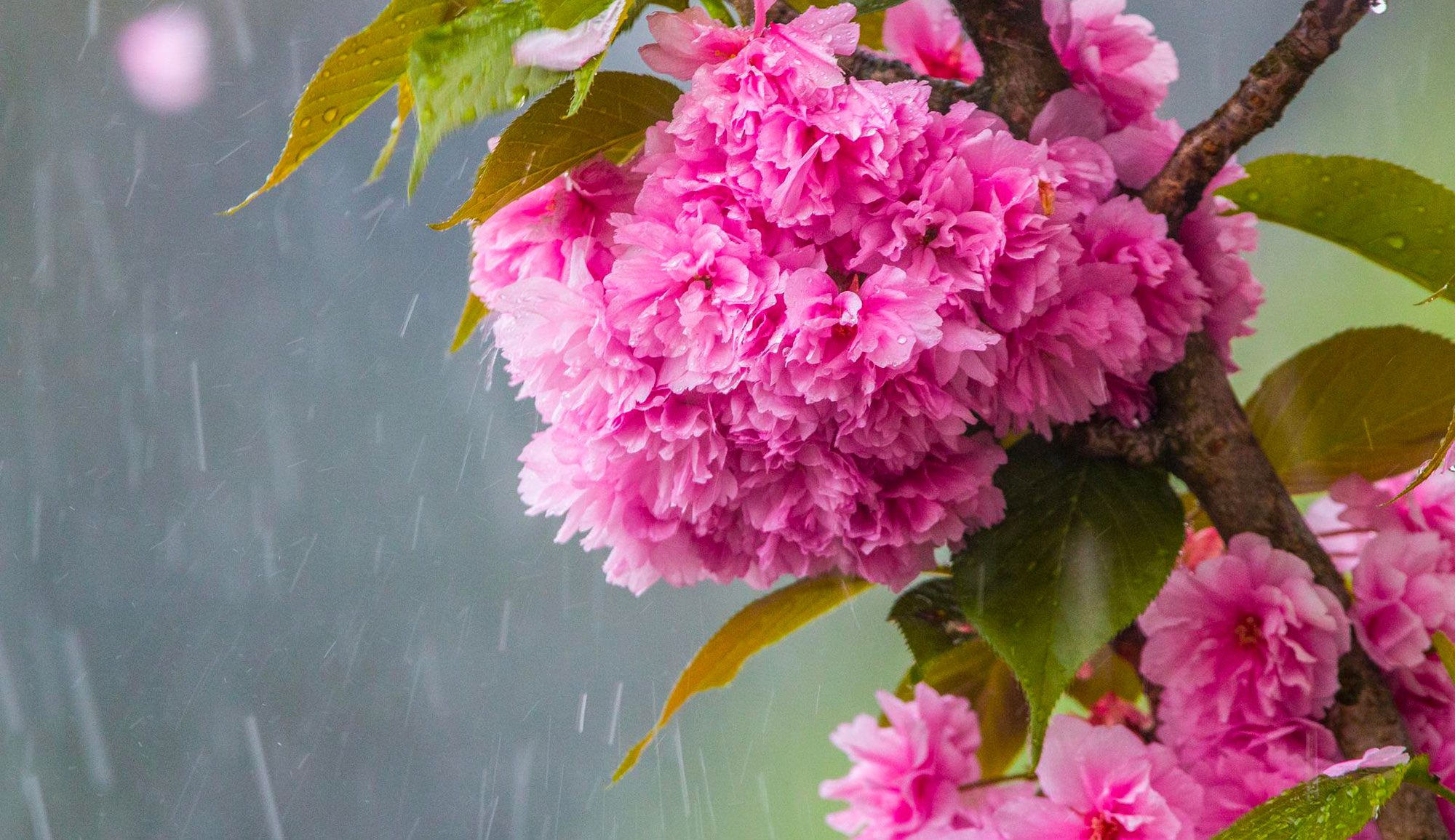 Météo : Pluies attendues sur certaines régions