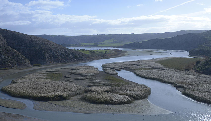 Béja : recherches intensives pour retrouver un berger disparu près de l’oued Medjerda
