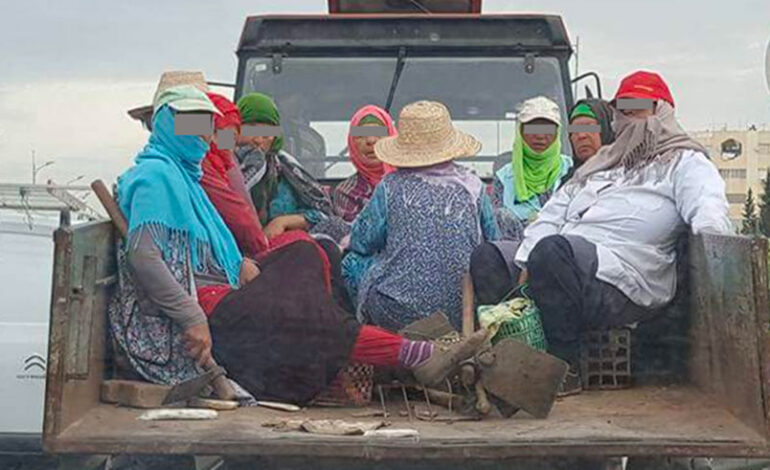 Les ouvrières agricoles exposées à tous les dangers : Même quotidien, mêmes souffrances