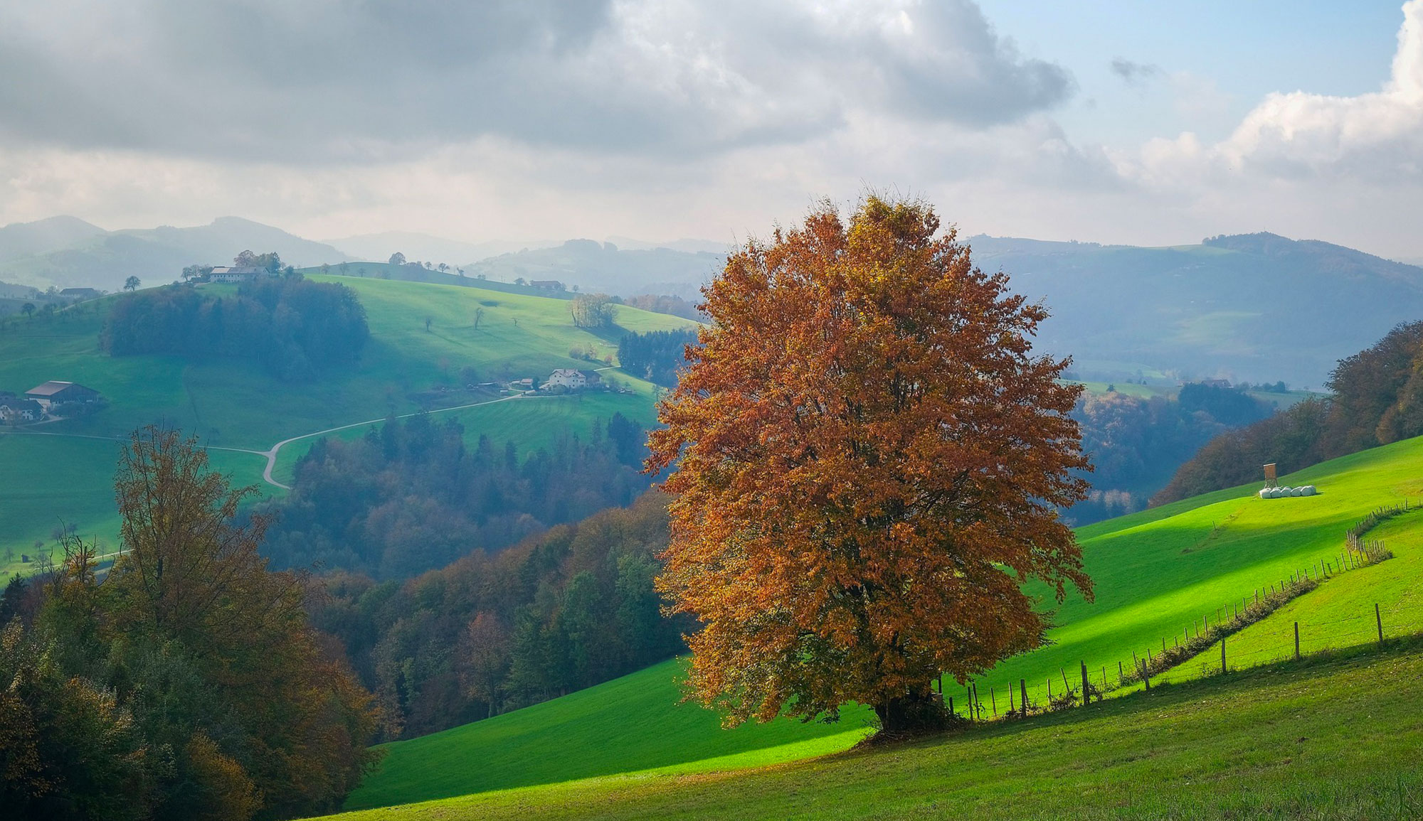 Météo : jusqu’à +14°C au-dessus des normales en Tunisie