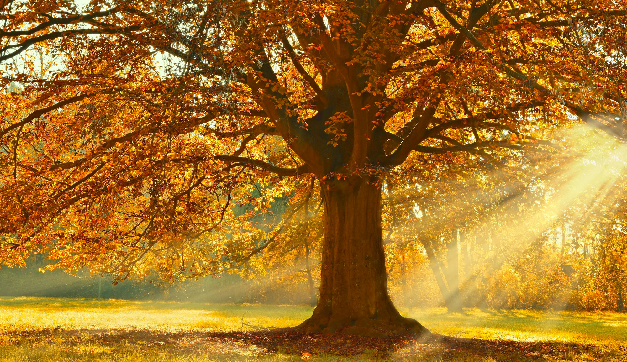 Météo : légère hausse des températures