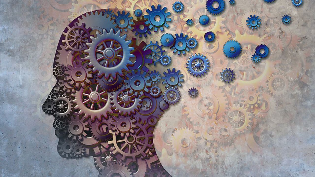 Exode des talents: La Tunisie face à un défi vital