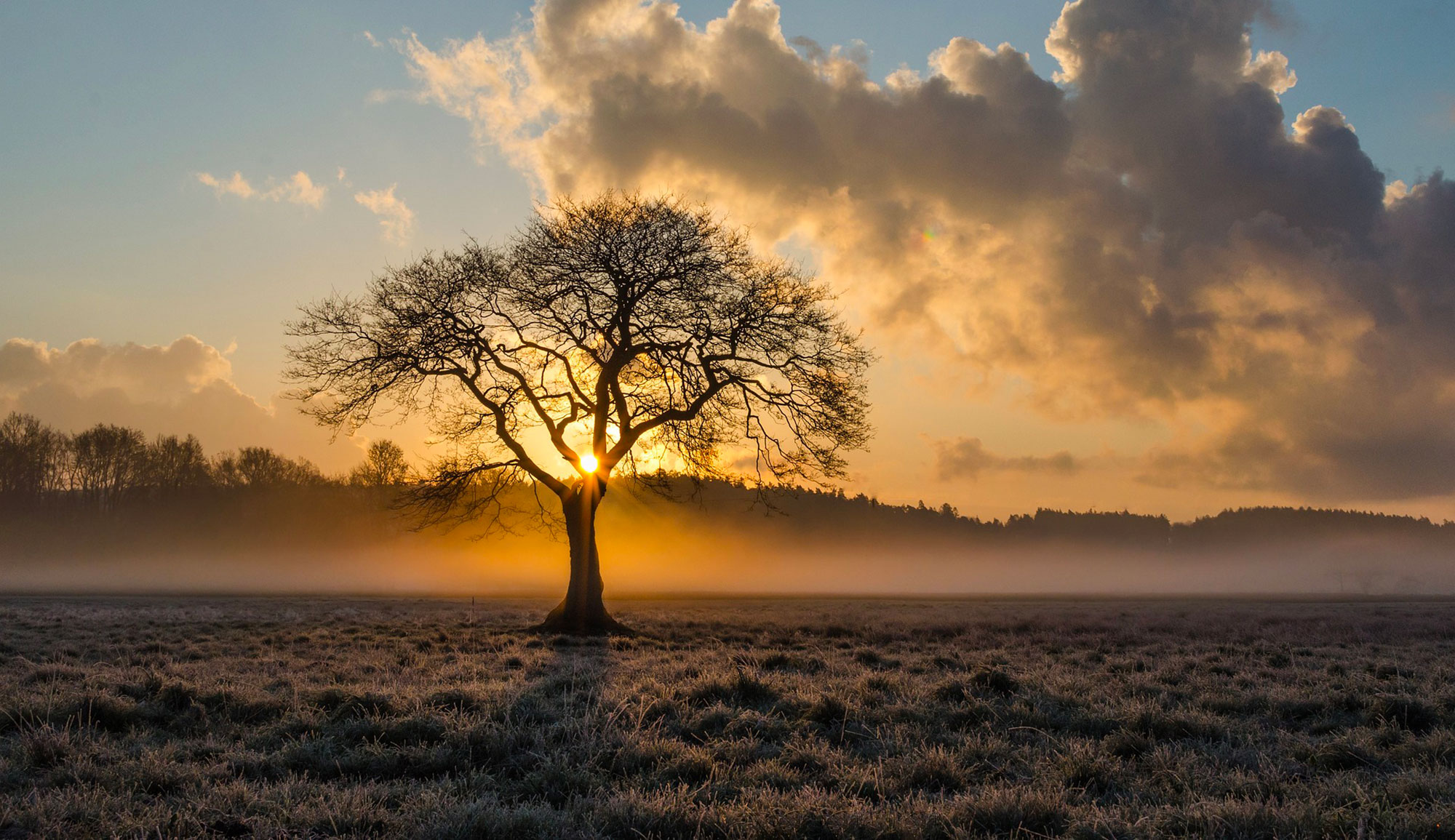 Météo: des températures supérieures à la normale pour les mois d&rsquo;octobre, novembre et décembre