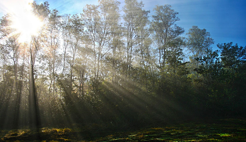 Météo : quelques pluies attendues ce soir dans l’extrême Sud