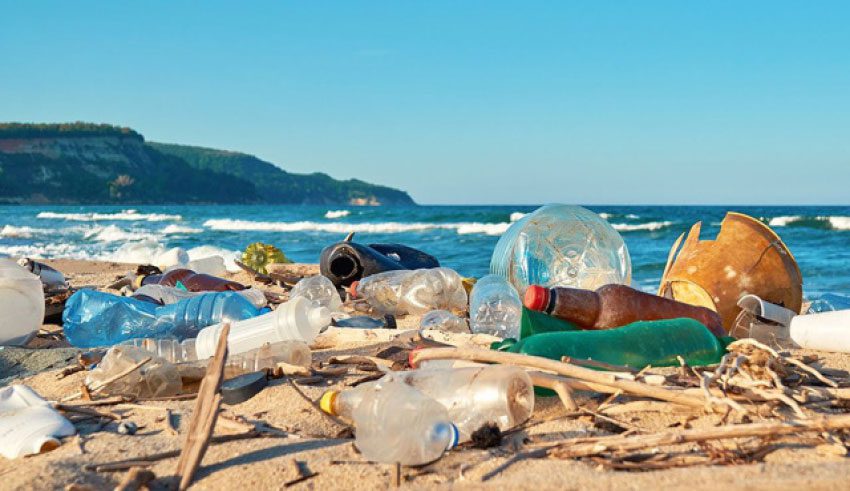 En raison des effets de la pollution plastique : Des pertes de plus de 20 millions de dollars par an
