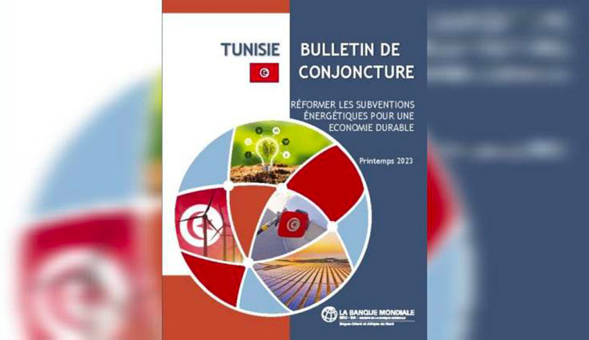 Banque Mondiale | Système des subventions énergétiques : Résoudre la crise macro-fiscale  par la réforme