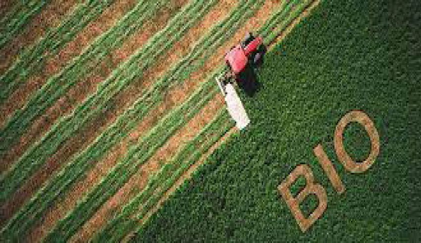 L’agriculture biologique | Un secteur porteur et d’avenir