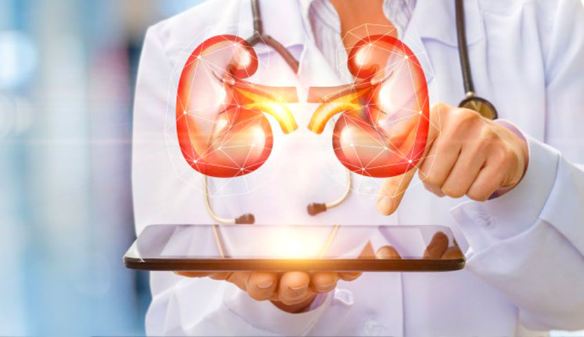 Kairouan se prépare à lancer ses premières transplantations rénales