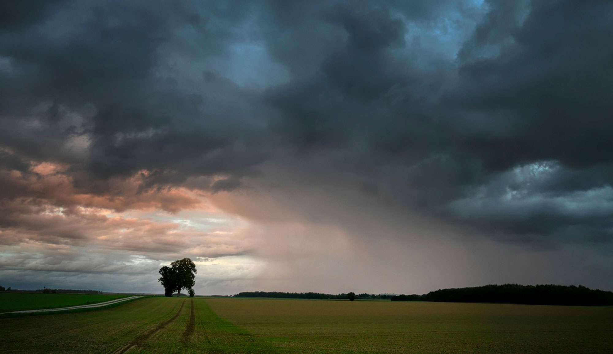 Des orages attendus ce samedi soir sur plusieurs régions du pays