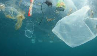 6e édition du Forum Mondial de la Mer: Défis et recommandations