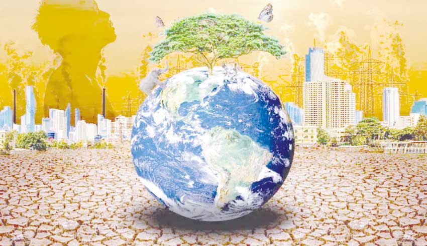 Rapport de la BM sur le climat et le développement (CCDR) pour la Tunisie : Un appel à l’action pour un modèle économique résilient face au climat