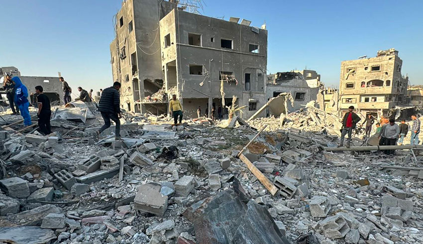 Agression sioniste : des centaines d&rsquo;arbres palestiniens déracinés en Cisjordanie occupée