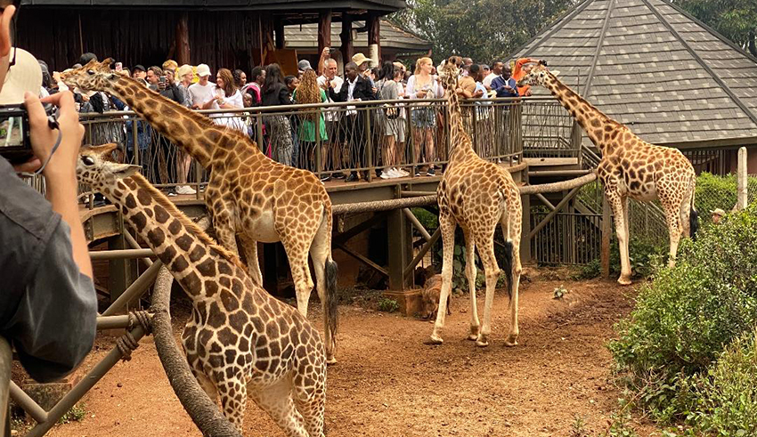 Reportage au Kenya: Une mine d’or à Nairobi