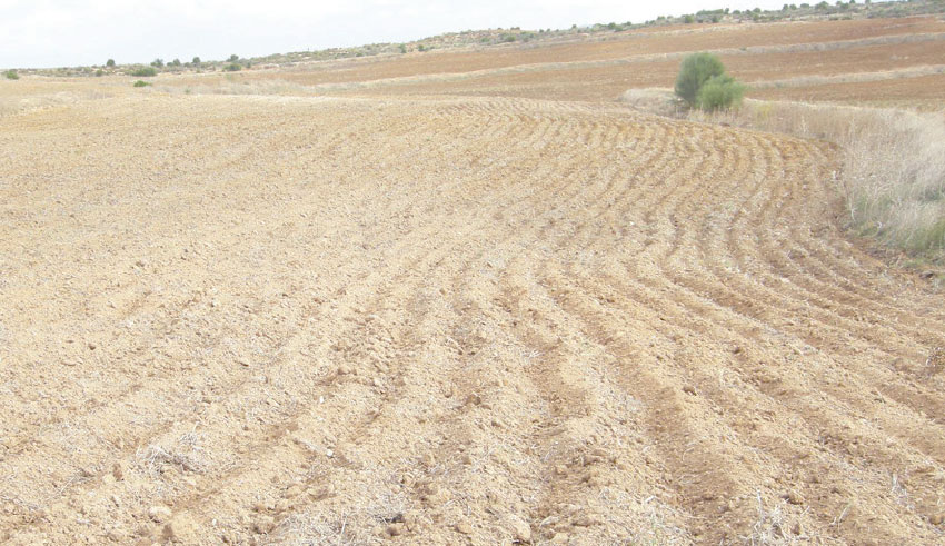 Valorisation des terres domaniales | Une nouvelle dynamique à l’œuvre