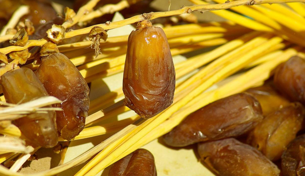 Tunisie: Hausse des exportations de dattes de 6.9%