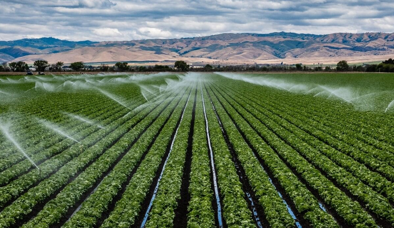 Investissement et agriculture : ce que prévoit le projet de loi de finances 2026