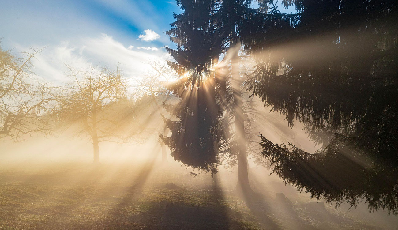 Météo : en ce début d’hiver, des températures supérieures à...