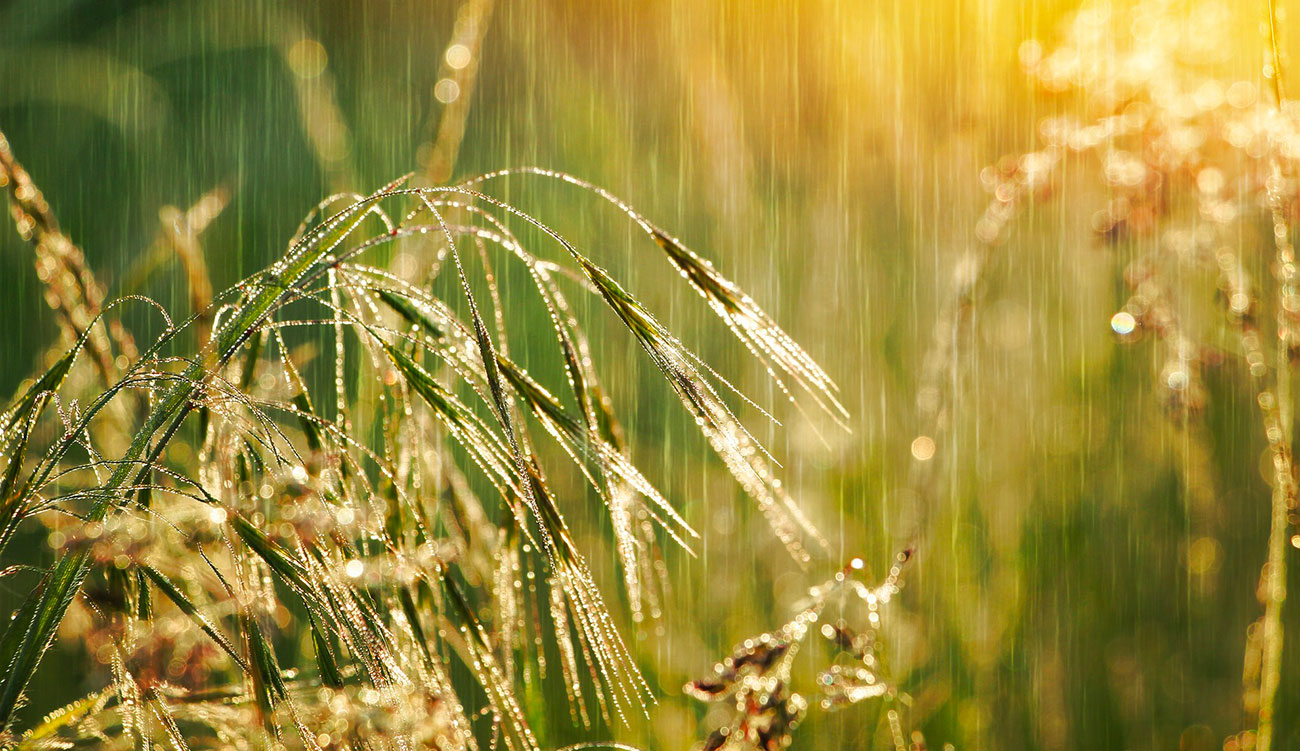 Alerte du ministère de l’Agriculture : appel à la vigilance...