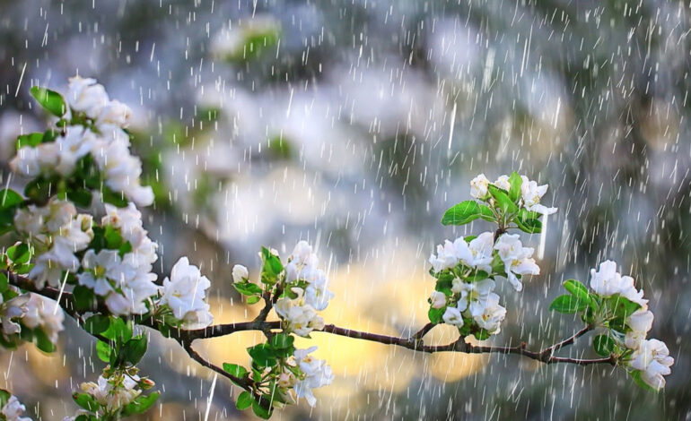 Tunisie : retour de la pluie sur certaines régions ce vendredi