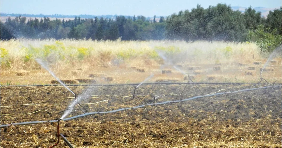 Tunisie – Bizerte : 10 hectares de cultures détruits pour irrigation illégale