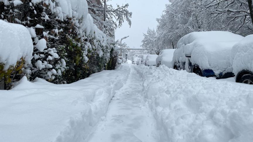 Allemagne paralysée : tempête hivernale cloue au sol plus de 120 vols à Francfort