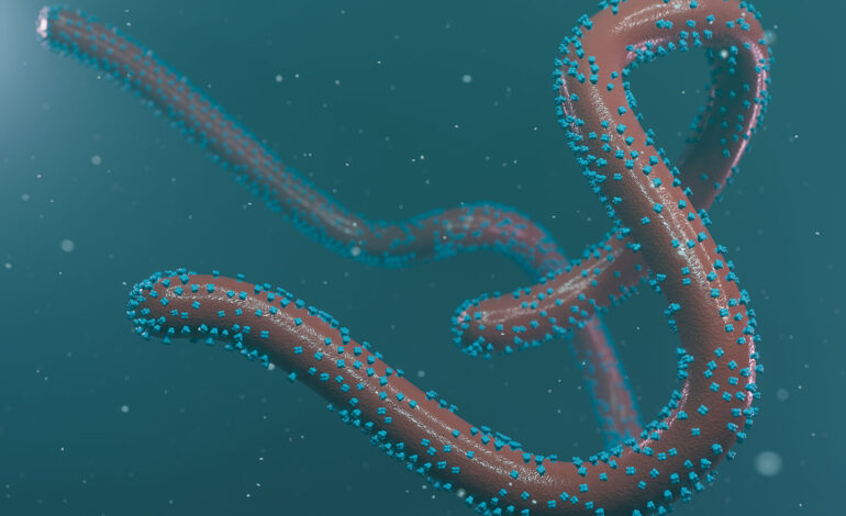 Alerte urgente : Un virus mortel attaque les yeux et menace les voyageurs