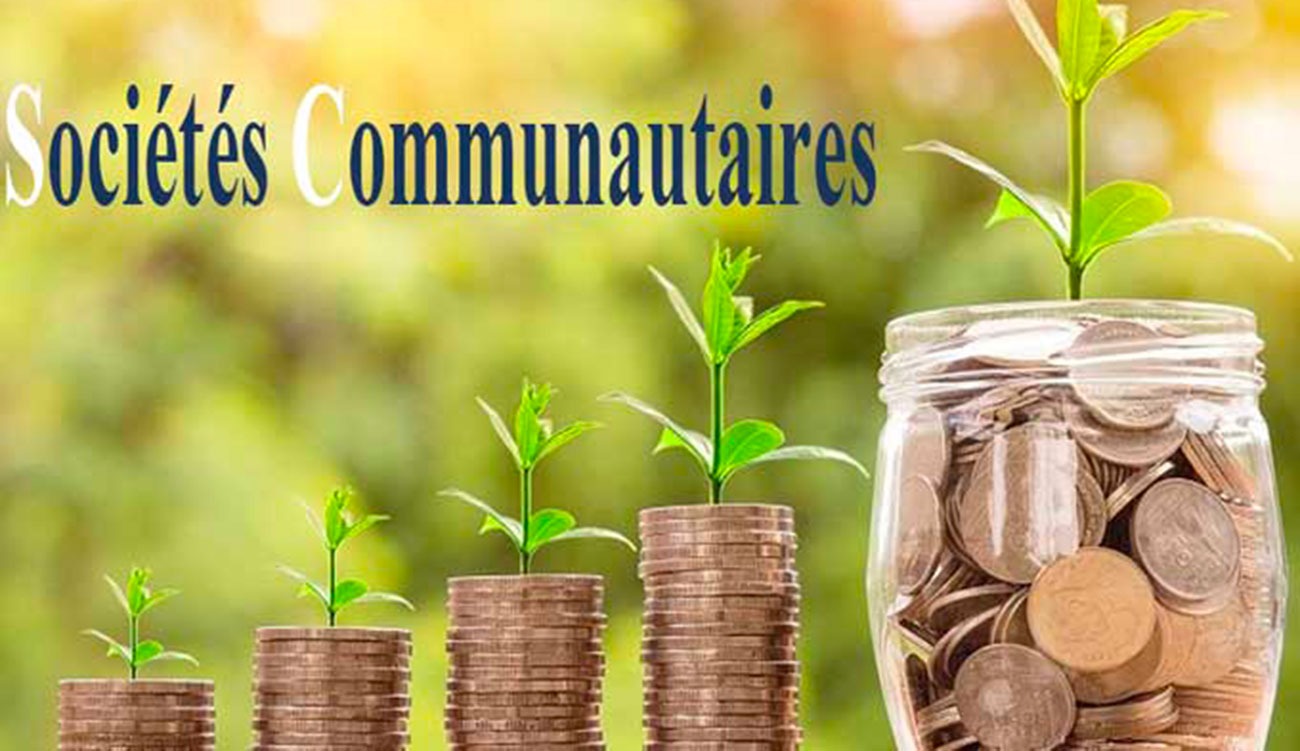 Sociétés communautaires: identifier des idées adaptées aux spécificités de chaque gouvernorat