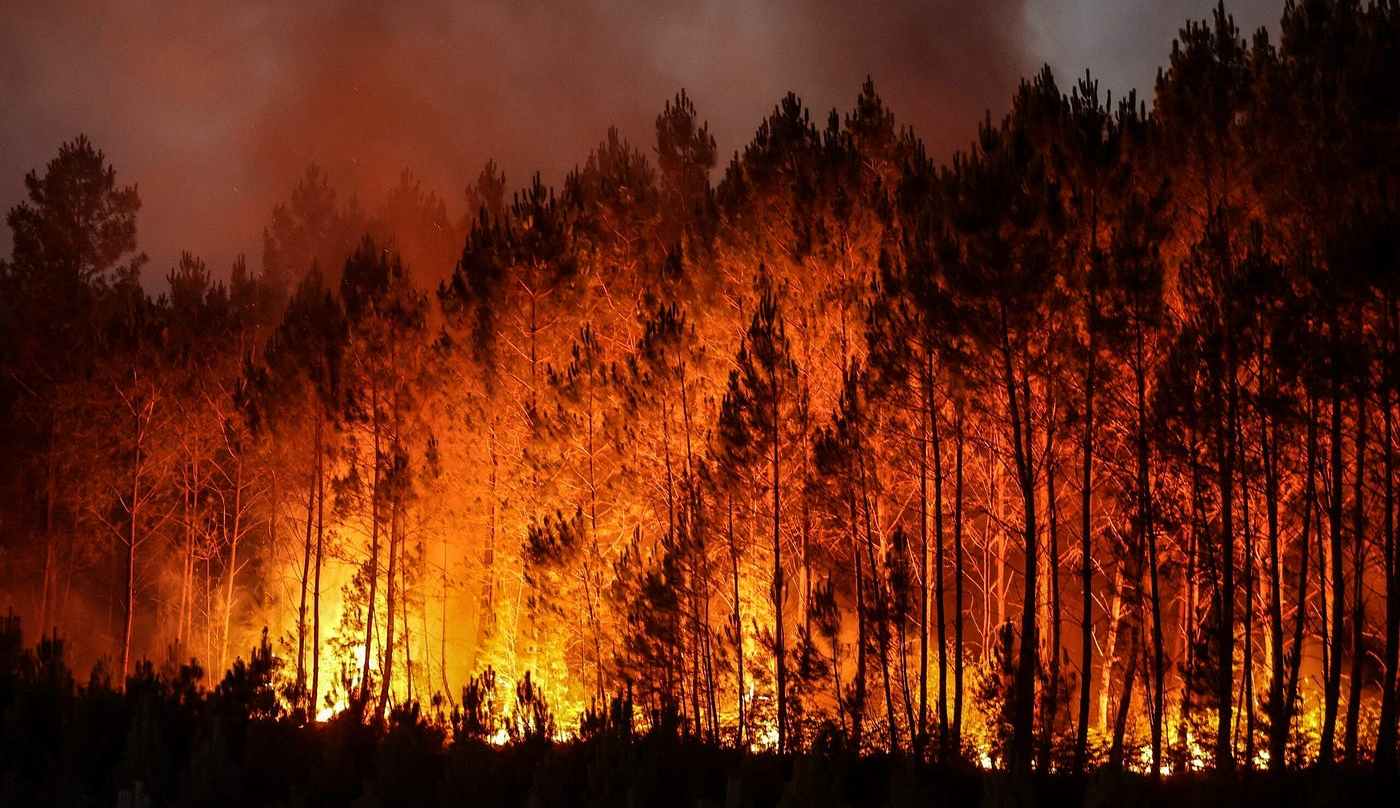 Incendies meurtriers en Europe : Grèce, Turquie et France en alerte