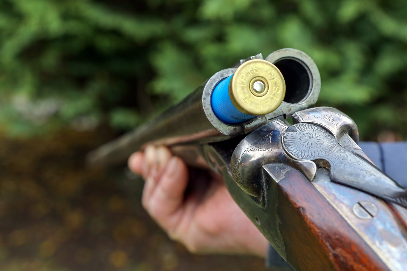 Saison de la chasse  2025/2026: l&rsquo;ouverture prévue à partir du 5 octobre