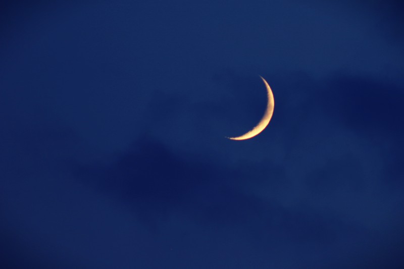 Samedi 22 novembre, premier jour du mois de Joumada al-Thani