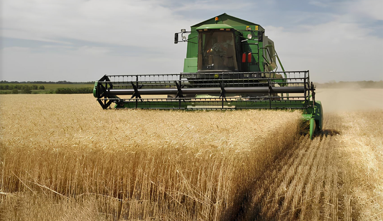 Céréales 2025 : 11,78 millions de quintaux récoltés