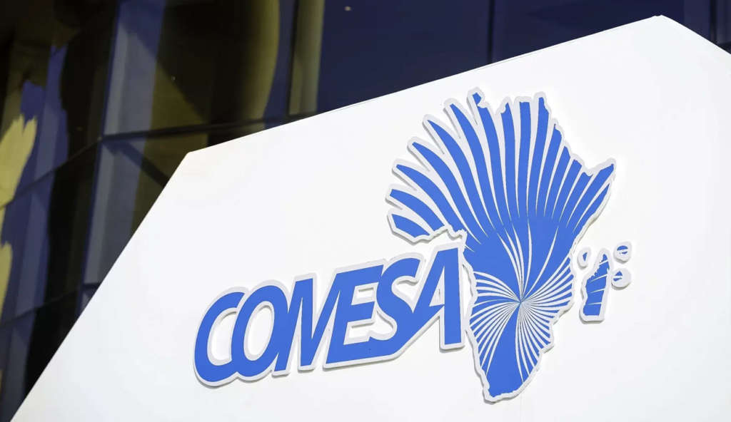 IDE en Afrique : le COMESA enregistre une hausse historique...